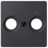 Placa para tomas inductivas de R-TV grafito Simon 82 82053-38