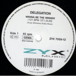 Delegation ‎– Wanna Be The Winner