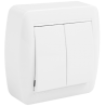 Doble conmutador / interruptor 10AX 250V~. Dimensiones 74x72x28.