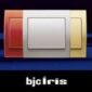 BJC IRIS