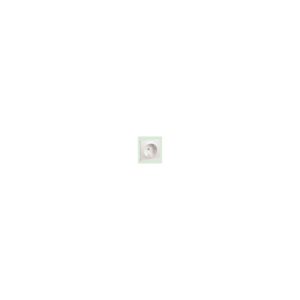 TAPA DE DE ENCHUFE 2P + TT  SM180 BLANCO POLAR  70936.18