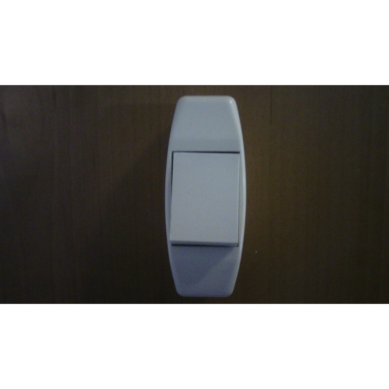 INTERRUPTORES DE PASO BASCULANTE 10A 250V