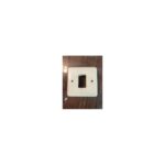 PLACA CON GARRAS 4171 1 ELEMENTO