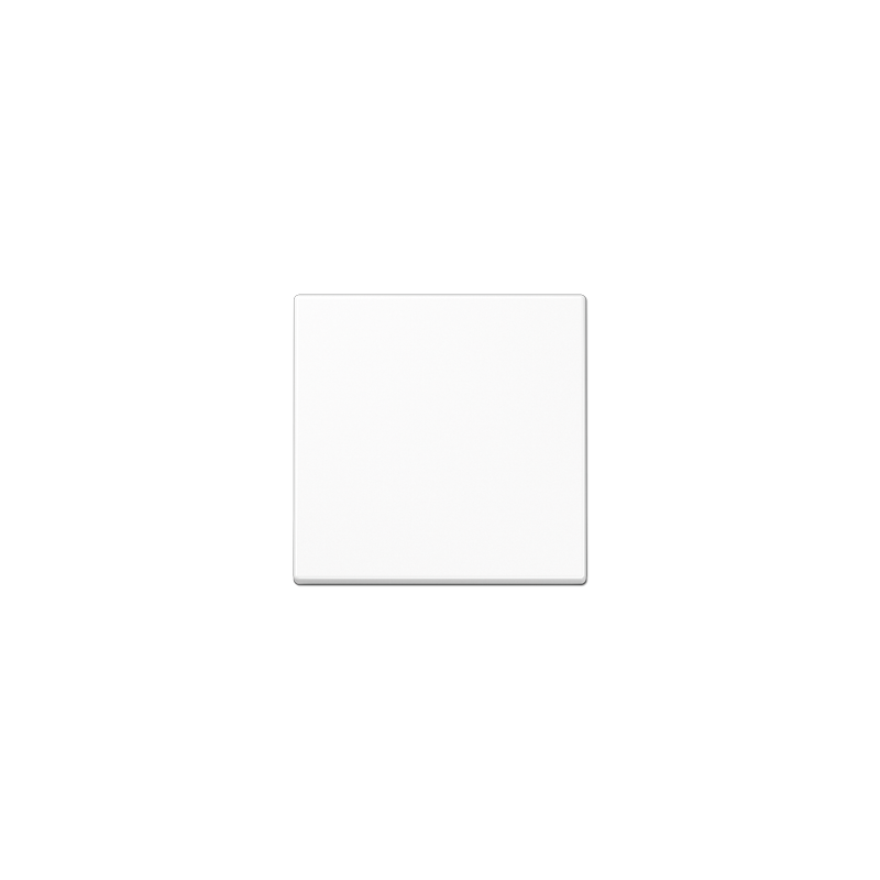 TECLA INTERRUPTOR BLANCO ALPINO JUNG