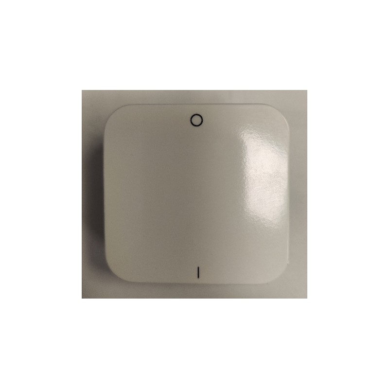 INTERRUPTOR BIPOLAR BLANCO CEESE