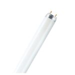 Tubo Osram Blanco cálido L18W/31