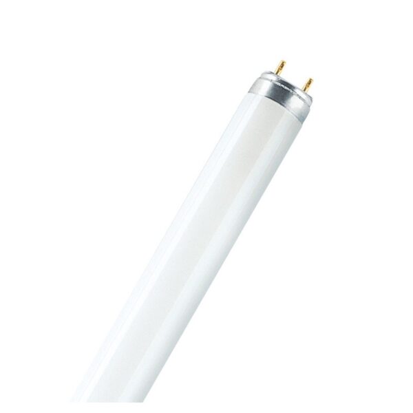 Tubo Osram Blanco cálido L18W/31