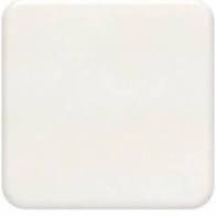 COLOR BLANCO