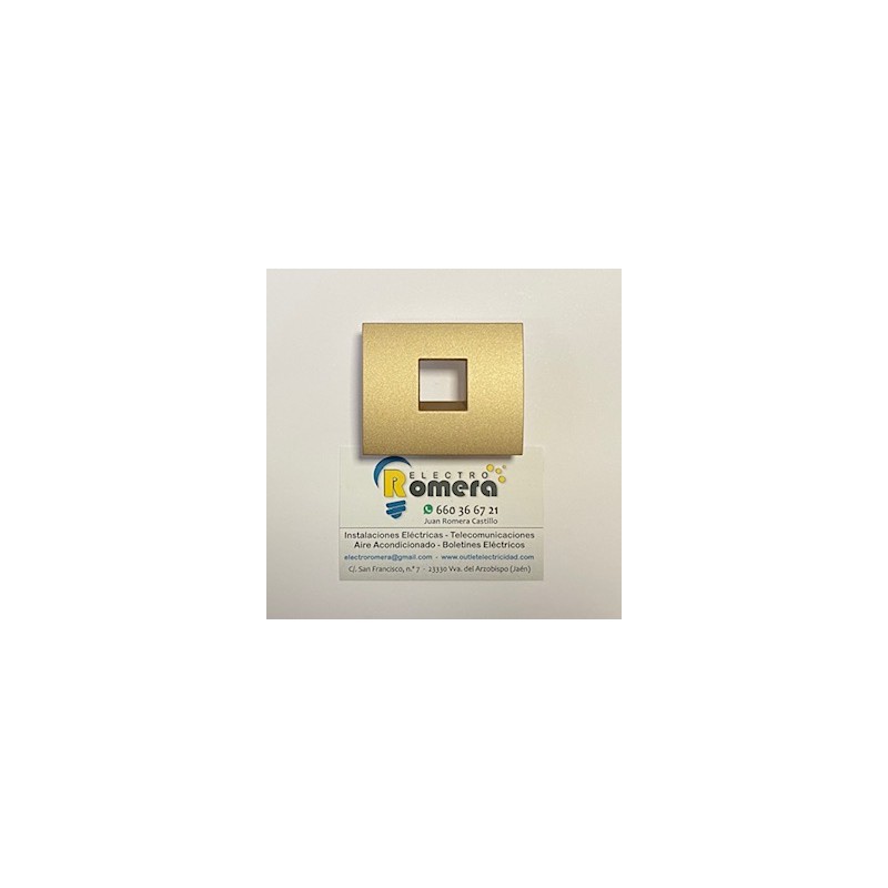 PLACA TOMA RJ COLOR BRONCE LEGRAND 7774 95