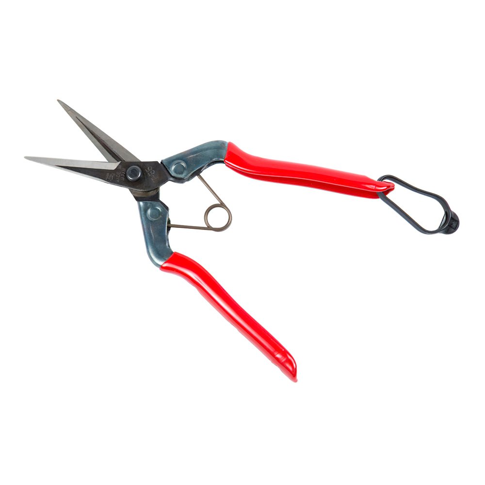 Tijeras Chikamasa Recolectora T 552 185 mm. 4 Tijeras Chikamasa Recolectora T 552 185 mm.