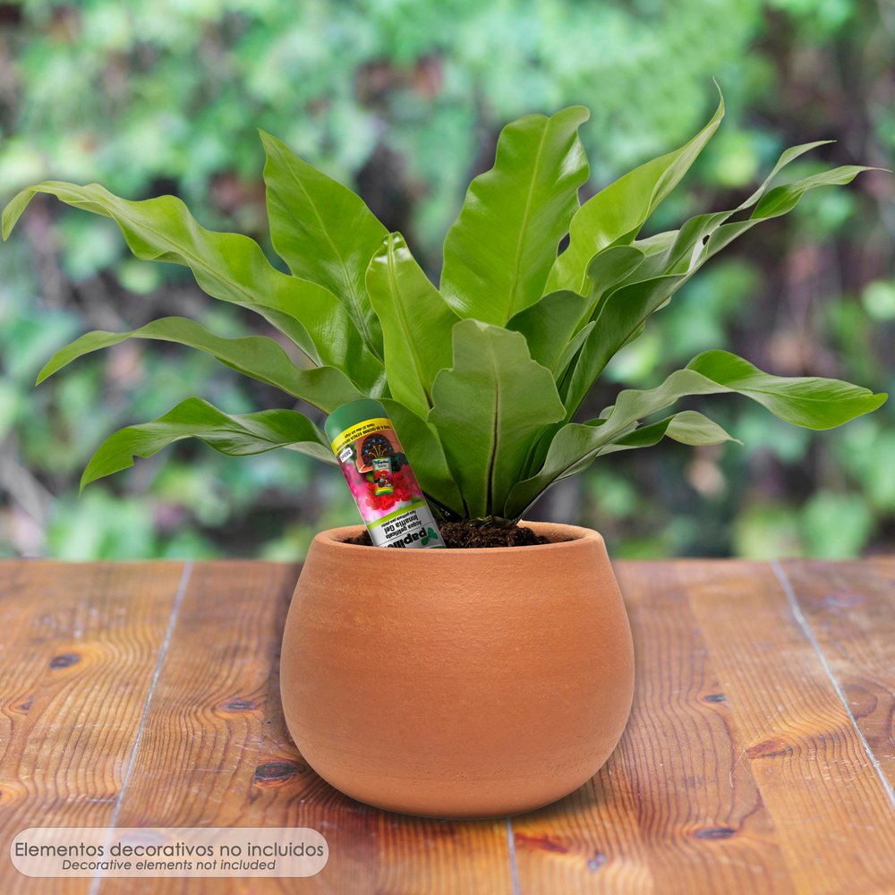 Agua Gelificada Para Riego Con Dispensador 300 ml. 5 Agua Gelificada Para Riego Con Dispensador 300 ml.