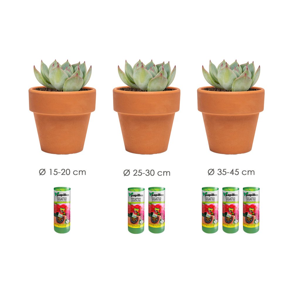 Agua Gelificada Para Riego Con Dispensador 300 ml. 4 Agua Gelificada Para Riego Con Dispensador 300 ml.