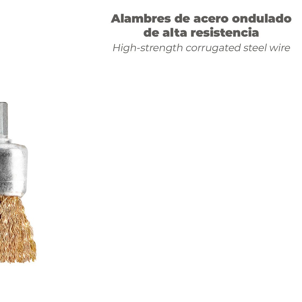 Cepillo Acero latonado Brocha 25 mm. 1/4" 5 Cepillo Acero latonado Brocha 25 mm. 1/4"
